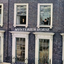 MYSTERIUS HORSE